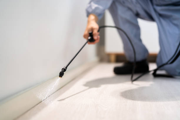Rodent Entry Point Assessment in Exton
