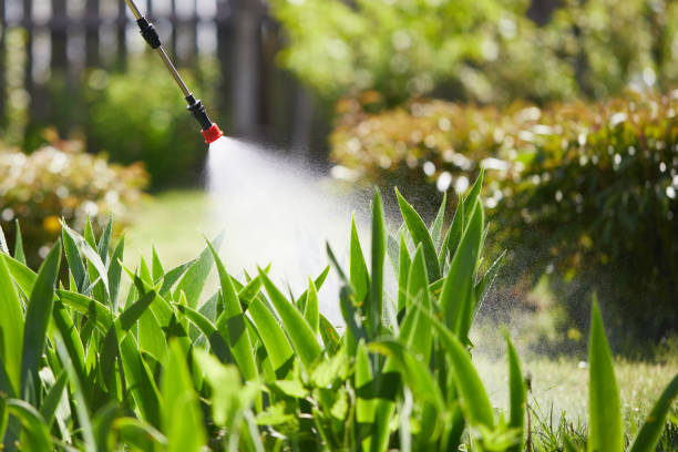 Tamper-Resistant Bait Stations for Rodents in Exton