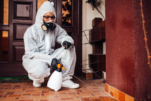 Attic and Crawl Space Rodent Treatment in Exton