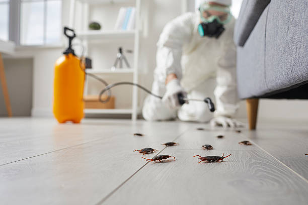 Commercial Rodent Management in Exton